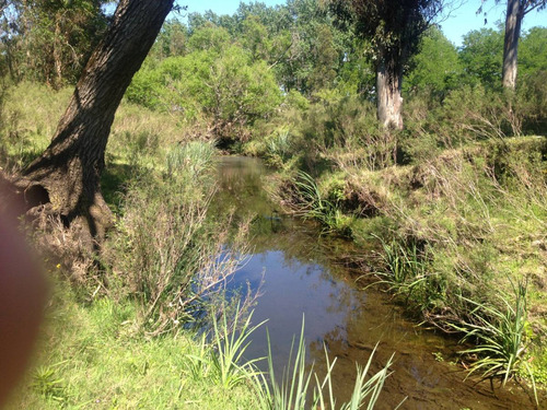 44 Hectáreas En Canelones, Con Monte Y Parte Agrícola