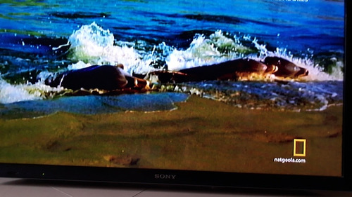 Imagen 2 de 9 de Vendo Pantalla Tv 40 Pugadas Sony,para Repuesto O Reparar