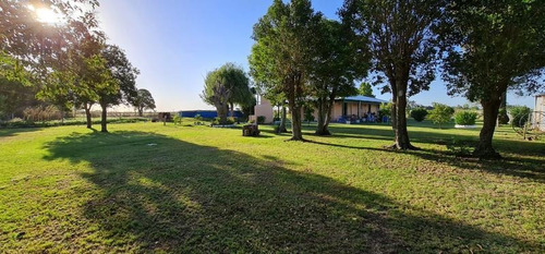 Imagen 14 de 23 de Campo - Gualeguaychu