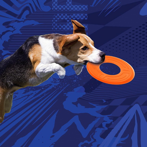 Folleto Atómico Nerf Dog De 10 Pulgadas, Color Naranja