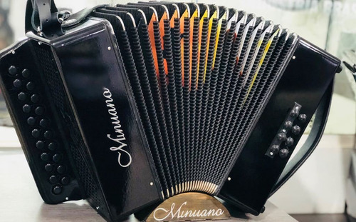 Acordeon 8 Baixos Minuano 8/21 Gaita De Botão Várias Cores
