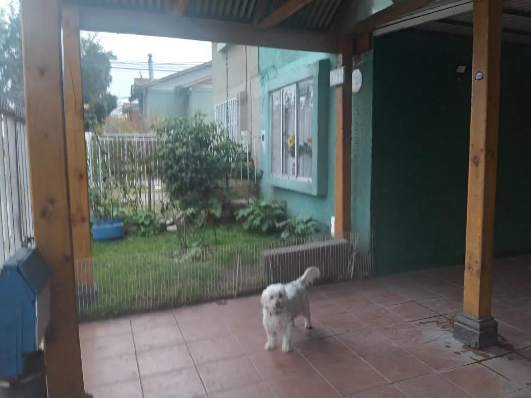 Imagen 3 de 15 de Vendo Casa En Santa Ana Del Boldo