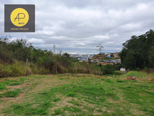Imagem 9 de 30 de Terreno À Venda, 3557 M² Por R$ 480.000,00 - Jardim Ponte Grande - Mogi Das Cruzes/sp - Te0045
