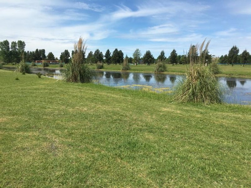 Imagen 3 de 14 de Terreno En Venta En Posadas De Los Lagos