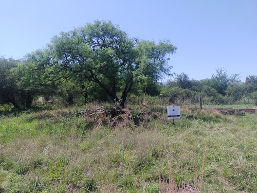 Oportunidad Terreno, Excelente Ubicación, Merlo, San Luis