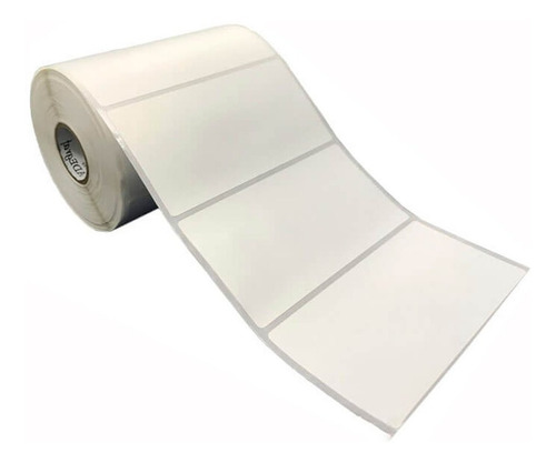10 Rolos Etiqueta Bopp Adesiva 10x5 Cm | 100x50 Mm