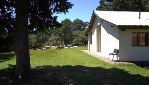 Imagen 25 de 30 de Vendo Campo Athos Pampa 62hs Con 3 Arroyos 3 Casas Galpones