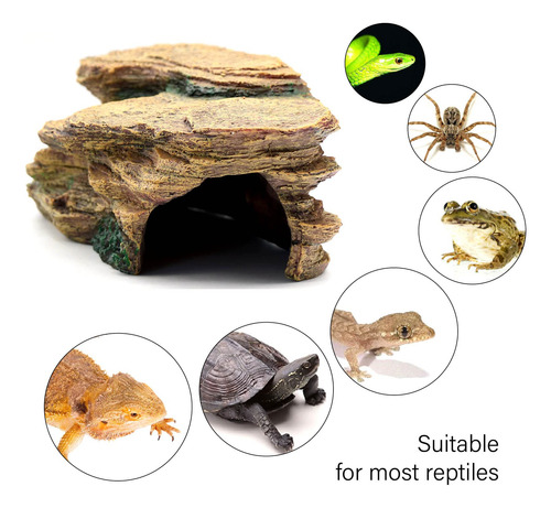 Plataforma Escondite Cuevas Acuario Tortuga Reptiles Anfibio