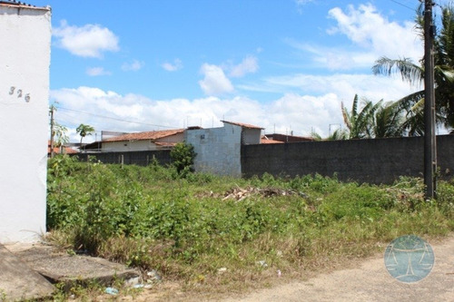 Imagem 15 de 15 de 11093) Terreno Em Parnamirim - V-11093