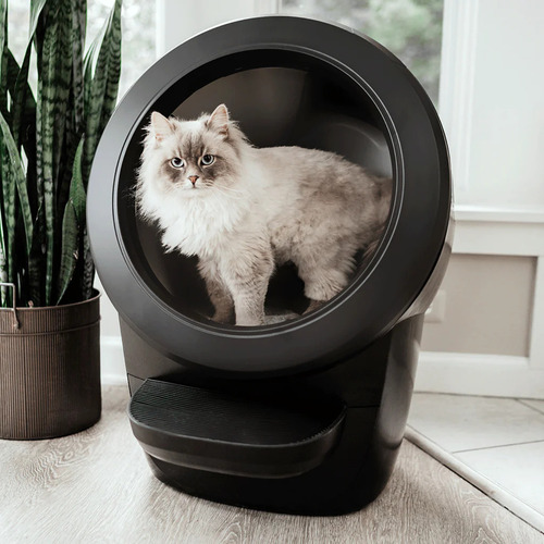 Litter Robot 4 Caixa De Areia Automática