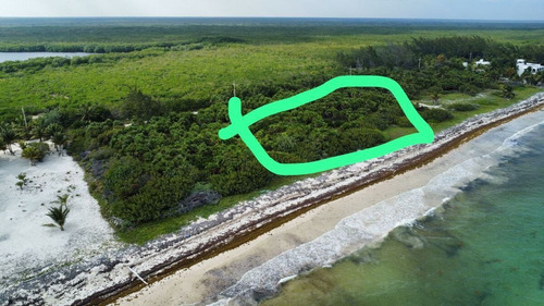 Terreno Frente La Playa 450 M2