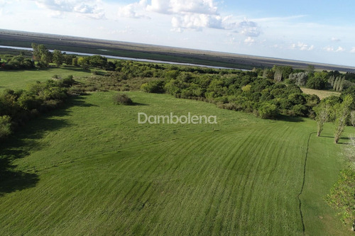 Imagen 30 de 30 de Terreno Campo En Venta O Permuta Ubicado En Baradero, Resto De La Provincia, Buenos Aires