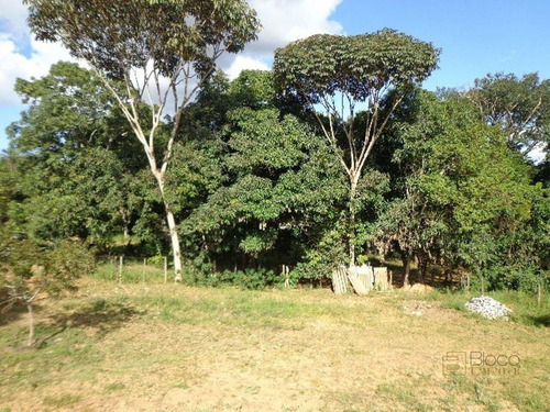 Imagem 29 de 30 de Chacara Com 2 Alqueire - Casa Com Laje, Barragem Chacaras Brito, Luziania - Meuimo562 - 71128673