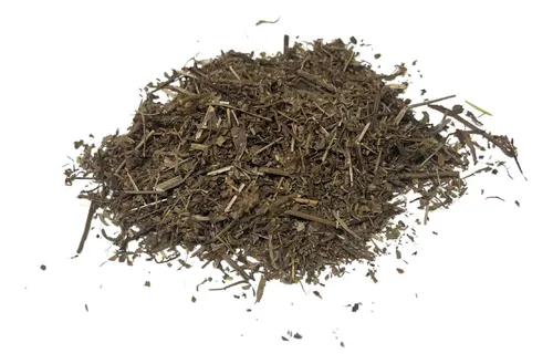 Llantén X 1kg - Hierbas Medicinales
