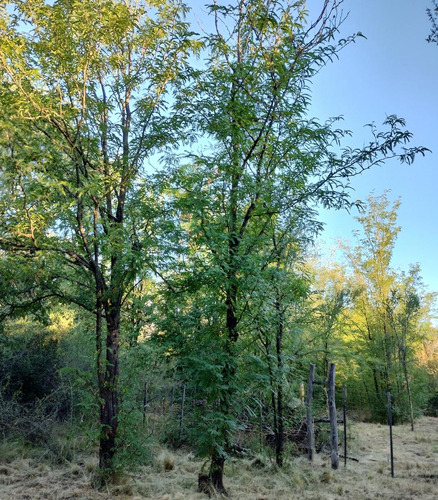 Terreno Con Escritura En Venta En El Tajamar, Las Rabonas, Traslasierra