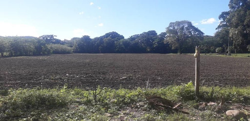 Imagen 3 de 18 de Hermosa Finca De 170has, En Yaracuy, Emss Vende