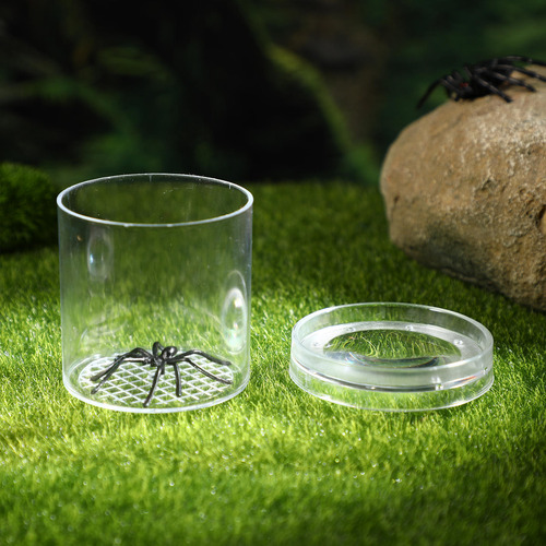 Copa De Observación De Insectos Al Aire Libre