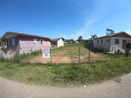 Imagem 6 de 8 de Terreno - Sangao - Ref: 32287 - V-32284