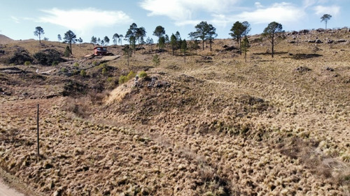 Imagen 4 de 12 de 4 Lotes De 2500m2 C/u, En Villa Ciudad De America