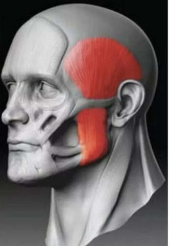 Rdedr Jawrsize Jawline Exercitadr Deladr Andíbula