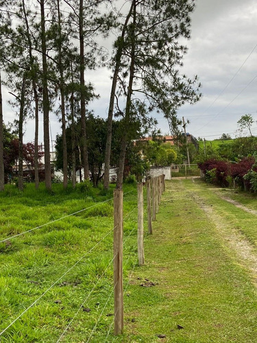 Imagem 10 de 14 de S01- 1.000m² Apenas 49.990 /100% Plano