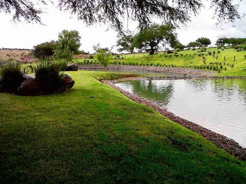 Terreno Venta, Desarrollo Hacienda La Presita, San Miguel Allende, Gto.