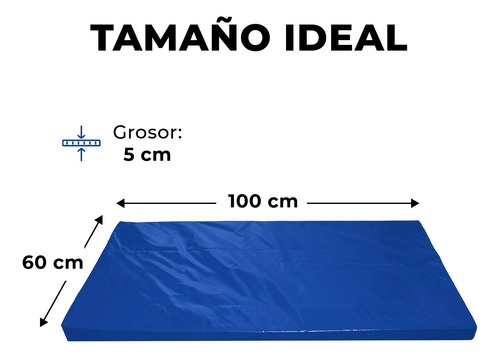 Colchoneta Gimnasio, Estiramientos Y Estimulación 100x60x5