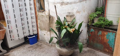 Imagen 17 de 17 de Venta Ph 4 Ambientes Sobre Av. Hip. Yrigoyen 6500