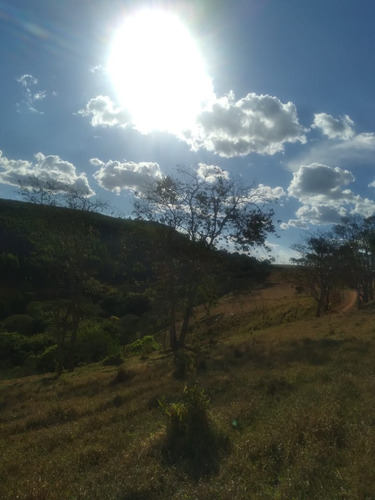 Imagem 2 de 30 de 03o-terreno Com Area Verde!