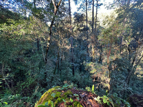 Rincón Mágico