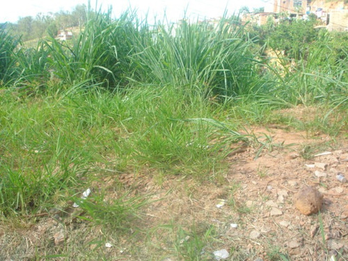 Imagem 10 de 16 de Lote Na Avenida Principal De 222m2 No Bairro Montes Claros/ribeiro De Abreu - 94975