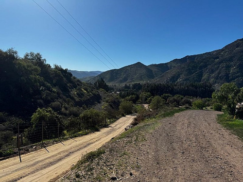 Sitio En Venta En Vicuña