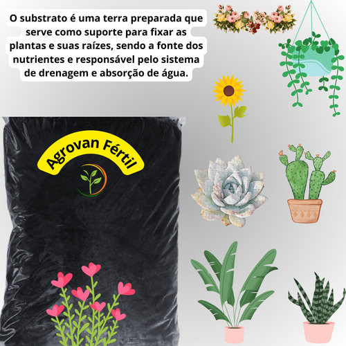 Substrato Com Nutrientes Para Plantas Vasos Jardinagem 3kg,