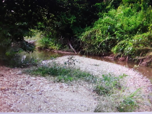 Imagen 12 de 14 de En Venta Finca En San Carlos, Cojedes