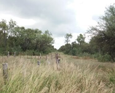 Imagen 6 de 14 de Campo De 100 Hectáreas En Venta - Villa De Soto