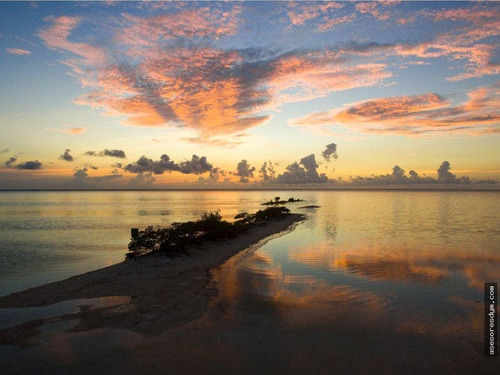 Imagen 2 de 4 de Terreno - Isla Blanca