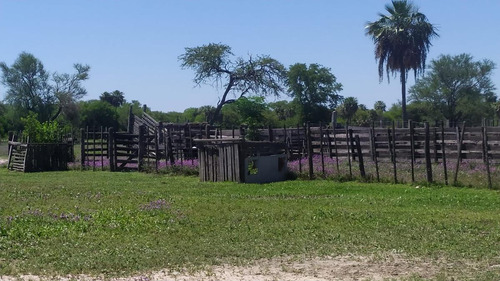 Campo Con Mejoras, Electricidad Y Título - Mariano Boedo- Formosa
