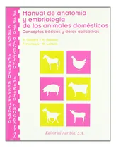 Comprar Cabeza Aparato Respiratorio Aparato Digestivo Aparato Urogen