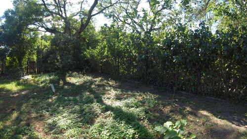 Vendo Terreno Barrio Los Pinos
