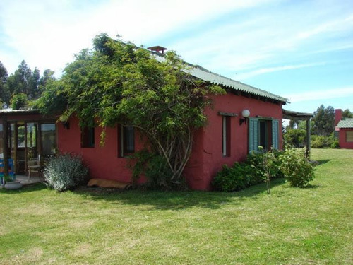 Bonavita