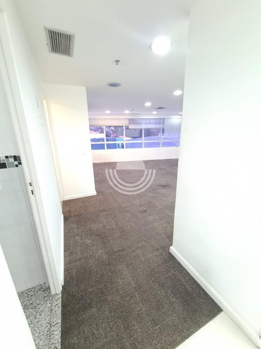 Imagem 7 de 11 de Sala Para Aluguel Em Cambuí - Sa006581