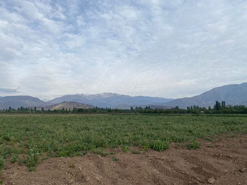 Parcelas De 5000m2 En Calle Larga, Los Andes
