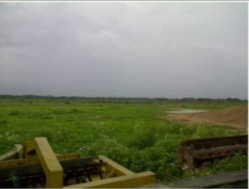 Imagen 6 de 14 de Finca En Venta En Edo. Barinas, Arismendi