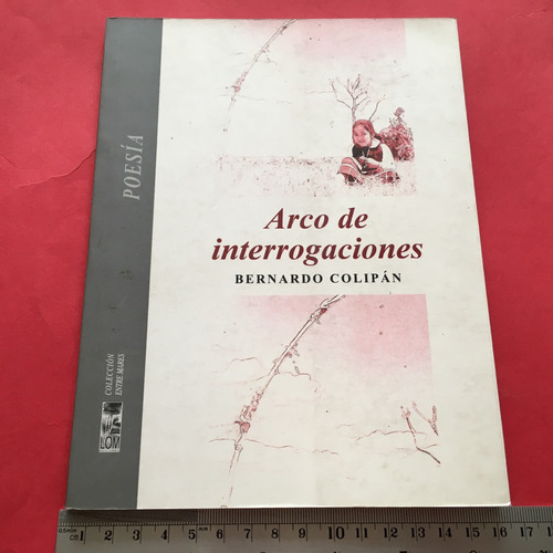 Bernardo Colipán Arco De Interrogaciones Poesía Mapuche