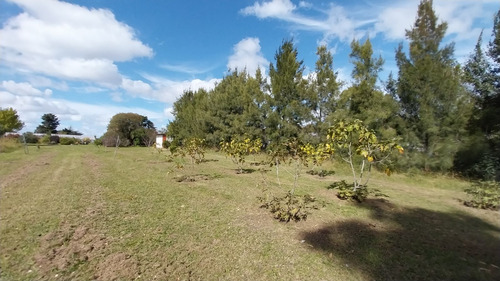 Venta - Casa Quinta En La Peregrina, Sierra De Los Padres