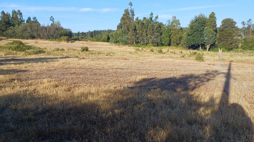 En Venta 3 Parcelas De 5.000 Mts2 Cada Una, Los Ángeles Bio