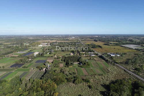 Terreno Campo En Venta En Pilar, G.b.a. Zona Norte
