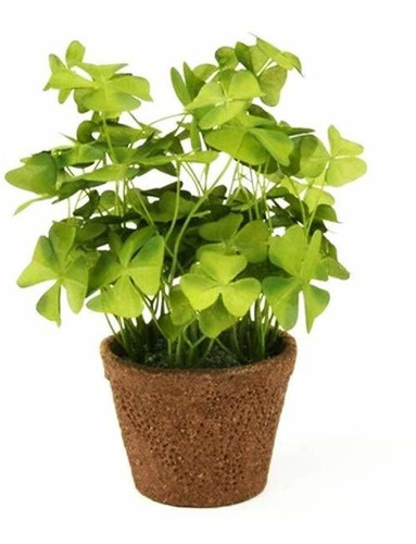 Floristrywarehouse Trebol Oxalis Verde Seda Sintetica Una