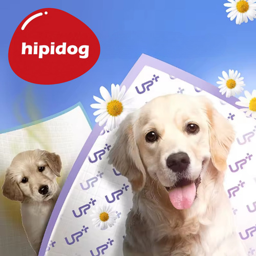 Tapete Higiênico Cães 60x45 50un Absorção Higiene Pet Up