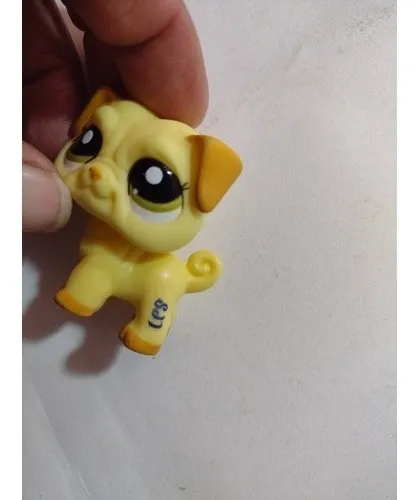 Pug pet shop online